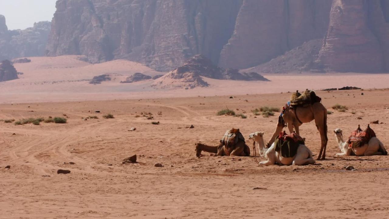 Bedouin Memories Camp Hotell Wadi Rum Eksteriør bilde